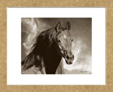 Wild as the Wind (Framed) -  Barry Hart - McGaw Graphics