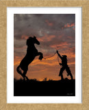 Sunset Silhouette (Framed) -  Barry Hart - McGaw Graphics