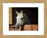 They Call Him Trouble (color) (Framed) -  Barry Hart - McGaw Graphics