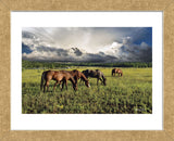 Pammie’s Pasture (Framed) -  Barry Hart - McGaw Graphics