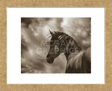 The Renegade (Framed) -  Barry Hart - McGaw Graphics