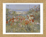 Celia Thaxter’s Garden, Isles of Shoals, Maine, 1890 (Framed) -  Childe Hassam - McGaw Graphics