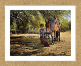 Time for a Snack (Framed) -  Barry Hart - McGaw Graphics