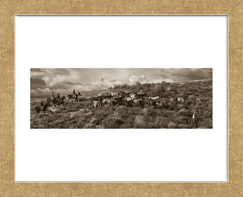 The Last Bunch (Framed) -  Barry Hart - McGaw Graphics