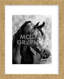 Magnum Force (b/w) (Framed) -  Barry Hart - McGaw Graphics