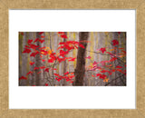Autumn Leaves Near The Great Meadow (Framed) -  Michael Hudson - McGaw Graphics