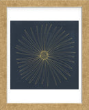 Burst II (Framed) -  Cathe Hendrick - McGaw Graphics