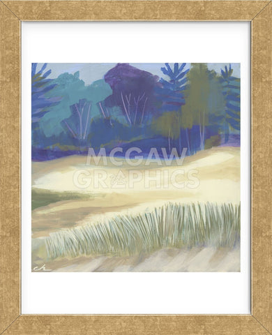 Coastal Dunes I (Framed) -  Cathe Hendrick - McGaw Graphics