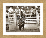 That Ain’t No Bull (Framed) -  Barry Hart - McGaw Graphics