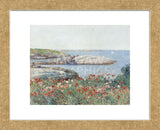 Poppies, Isles of Shoals, 1891 (Framed) -  Childe Hassam - McGaw Graphics