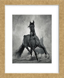 Struttin His Stuff (Framed) -  Barry Hart - McGaw Graphics