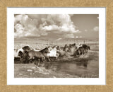 On the Move (Framed) -  Barry Hart - McGaw Graphics