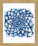 Blue Zinnia (Framed) -  Cathe Hendrick - McGaw Graphics