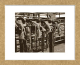 Bronc Saddles (Framed) -  Barry Hart - McGaw Graphics