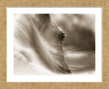 My Eyes Adored You (Framed) -  Barry Hart - McGaw Graphics