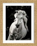 Imagine Me and You (Framed) -  Barry Hart - McGaw Graphics