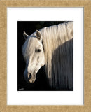 Chico (Framed) -  Barry Hart - McGaw Graphics