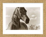 Lonesome Dove (Framed) -  Barry Hart - McGaw Graphics
