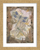 Honeycomb Dragonflies  (Framed) -  Annabel Hewitt - McGaw Graphics