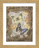 Honeycomb Butterflies  (Framed) -  Annabel Hewitt - McGaw Graphics