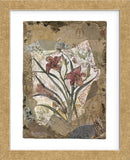 Tigerlily and Lace  (Framed) -  Annabel Hewitt - McGaw Graphics