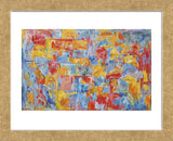 Map  (Framed) -  Jasper Johns - McGaw Graphics