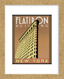 Flatiron Building  (Framed) -  Brian James - McGaw Graphics