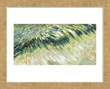 Coral Waves (Framed) -  Margaret Juul - McGaw Graphics