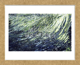 Waterfall, St. Marks River, Florida (Framed) -  Margaret Juul - McGaw Graphics