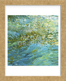 Colors of Tampa Bay (Framed) -  Margaret Juul - McGaw Graphics