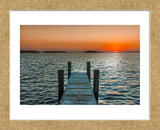 Morning Glory (Framed) -  Mary Lou Johnson - McGaw Graphics