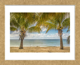 Twin Palms (Framed) -  Mary Lou Johnson - McGaw Graphics