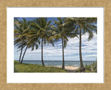 Beach Palms (Framed) -  Mary Lou Johnson - McGaw Graphics