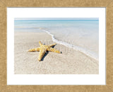 Star Fish Line of Surf (Framed) -  Mary Lou Johnson - McGaw Graphics
