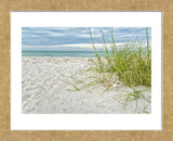 Star Fish and Sea Oats (Framed) -  Mary Lou Johnson - McGaw Graphics