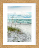 Beach Secrets (Framed) -  Mary Lou Johnson - McGaw Graphics