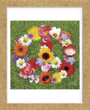 Peace Wreath (Framed) -  Jenny Kraft - McGaw Graphics