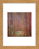 Tannenwald I (Framed) -  Gustav Klimt - McGaw Graphics