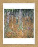 Birch Forest, 1903 (Framed) -  Gustav Klimt - McGaw Graphics