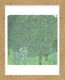 Rosebushes under the Trees, ca. 1905 (Framed) -  Gustav Klimt - McGaw Graphics