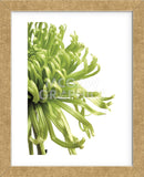 Green Bloom 2  (Framed) -  Jenny Kraft - McGaw Graphics