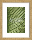 Cannis Veins  (Framed) -  Jenny Kraft - McGaw Graphics