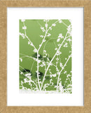 Autumn Branch (green)  (Framed) -  Jenny Kraft - McGaw Graphics