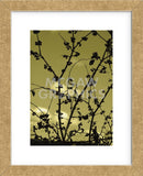 Autumn Branch (sepia)  (Framed) -  Jenny Kraft - McGaw Graphics