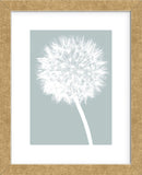 Dandelion (blue)  (Framed) -  Jenny Kraft - McGaw Graphics