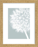 Dandelion Crop (blue)  (Framed) -  Jenny Kraft - McGaw Graphics