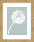 Dandelion Tilt (blue)  (Framed) -  Jenny Kraft - McGaw Graphics