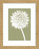 Dandelion (khaki)  (Framed) -  Jenny Kraft - McGaw Graphics