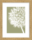 Dandelion Crop (khaki)  (Framed) -  Jenny Kraft - McGaw Graphics