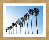 La Jolla Palms  (Framed) -  Jenny Kraft - McGaw Graphics
